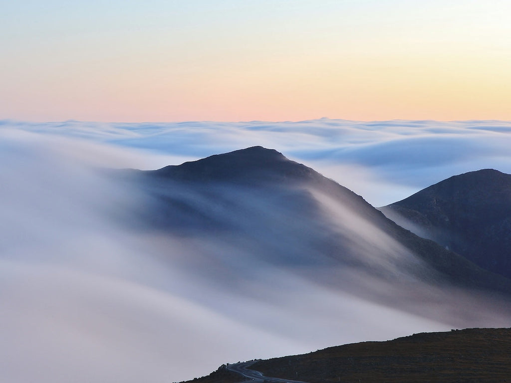 The Best Natural Remedies for Brain Fog